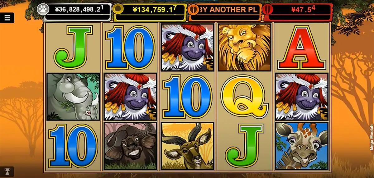 Mega Moolah big wins